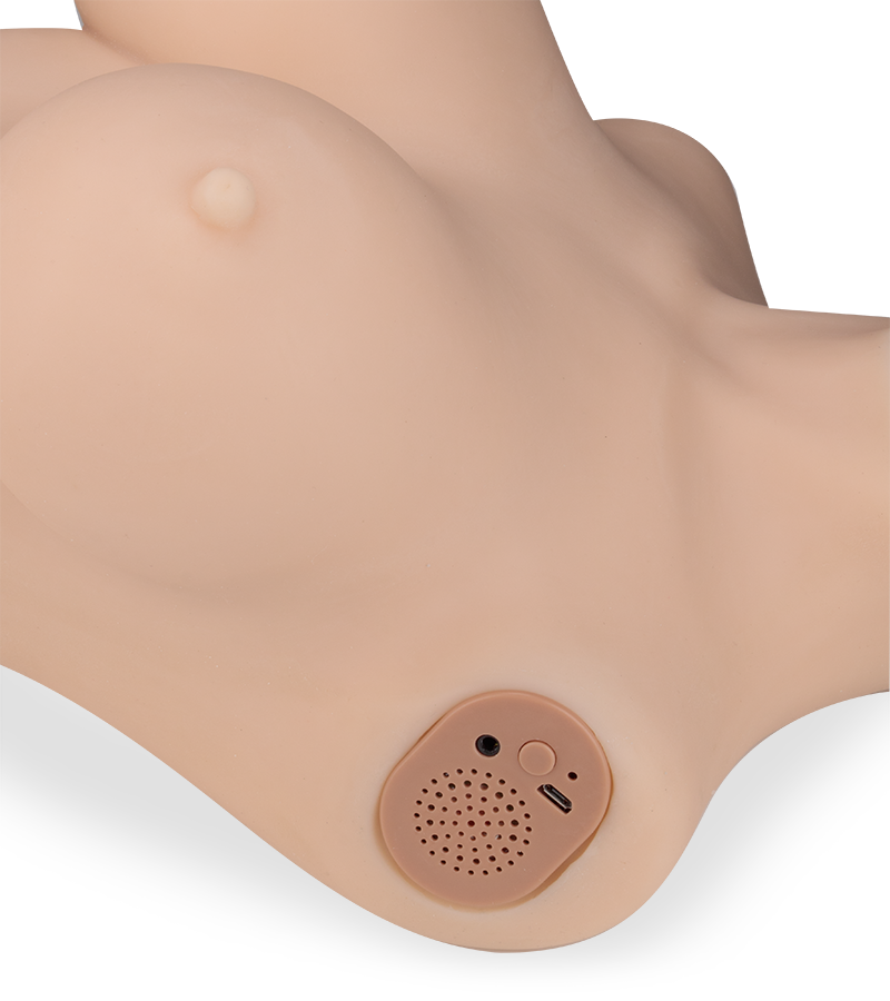 Adeline ass, breasts and vagina masturbator 23 lb