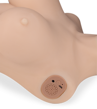 Load image into Gallery viewer, Adeline ass, breasts and vagina masturbator 23 lb