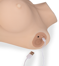 Load image into Gallery viewer, Adeline ass, breasts and vagina masturbator 23 lb