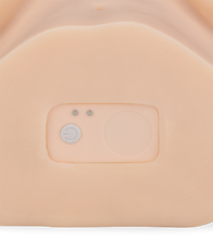 Load image into Gallery viewer, Ally vibrating ass masturbator 7 lb