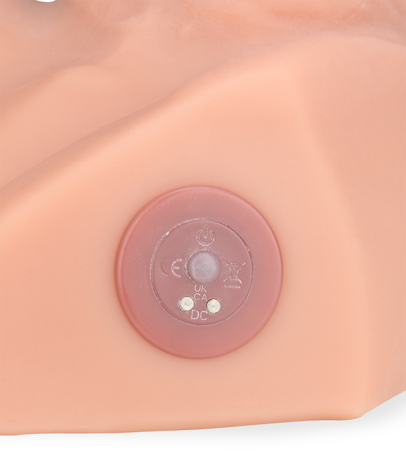 Amaury vibrating ass masturbator with vibrating thrusting penis 5.00 lb