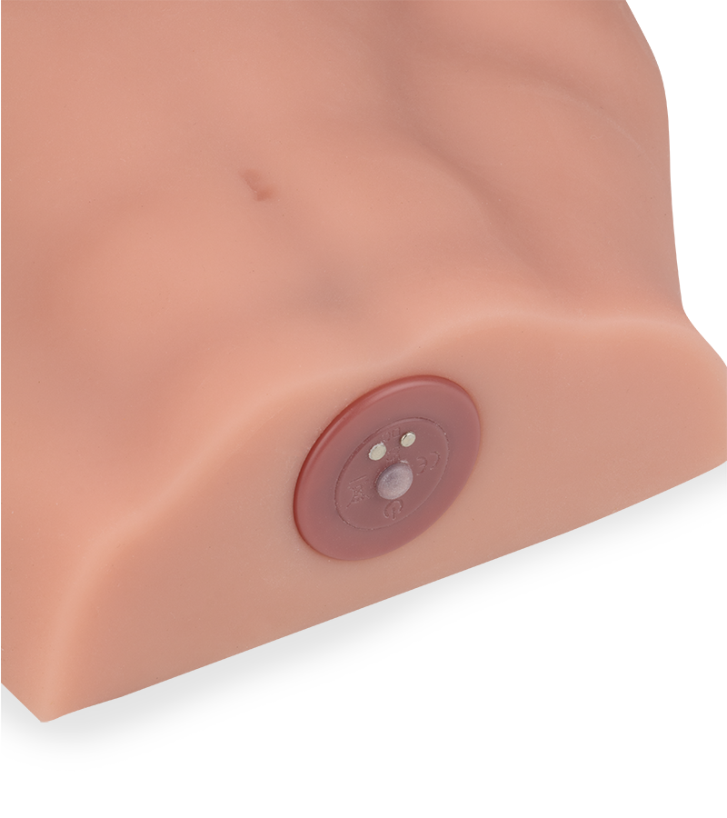 Andrew male torso with thrusting 6.25-inch penis