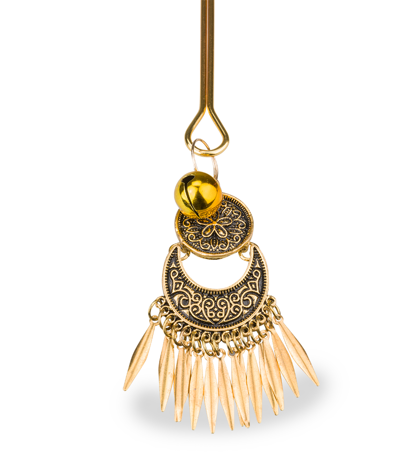 Audacity BDSM nipple clamps