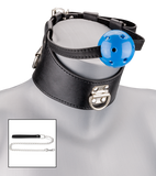 Ball gag and leather collar