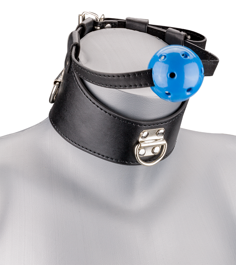 Ball gag and leather collar