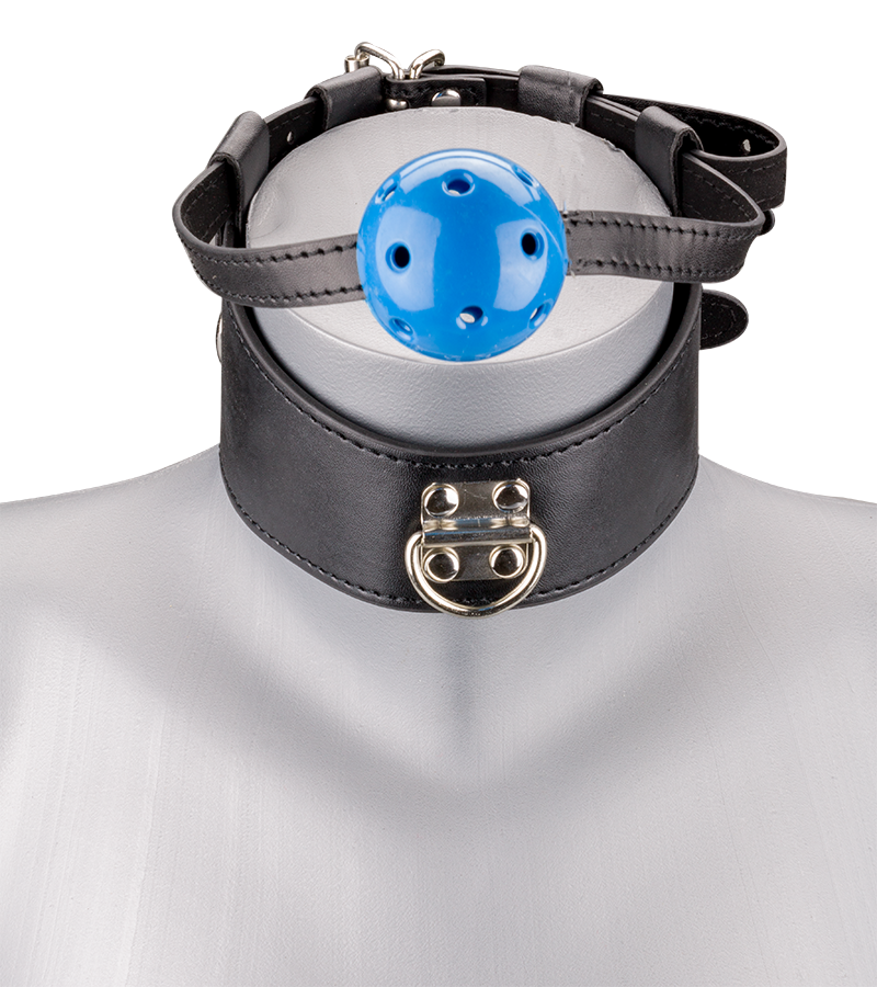 Ball gag and leather collar