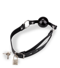 Load image into Gallery viewer, BDSM ball gag