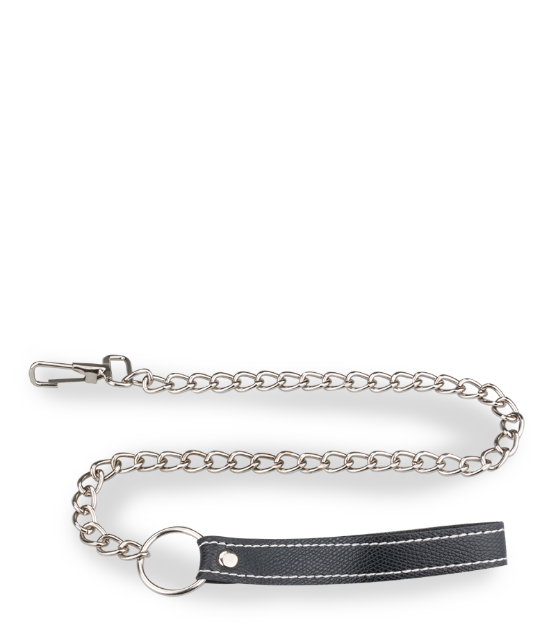 BDSM metal leash 30.75 inches