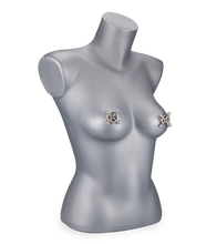 Load image into Gallery viewer, BDSM nipple clamps with screws