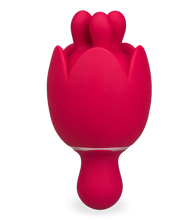 Load image into Gallery viewer, Bis clit stimulator and massager