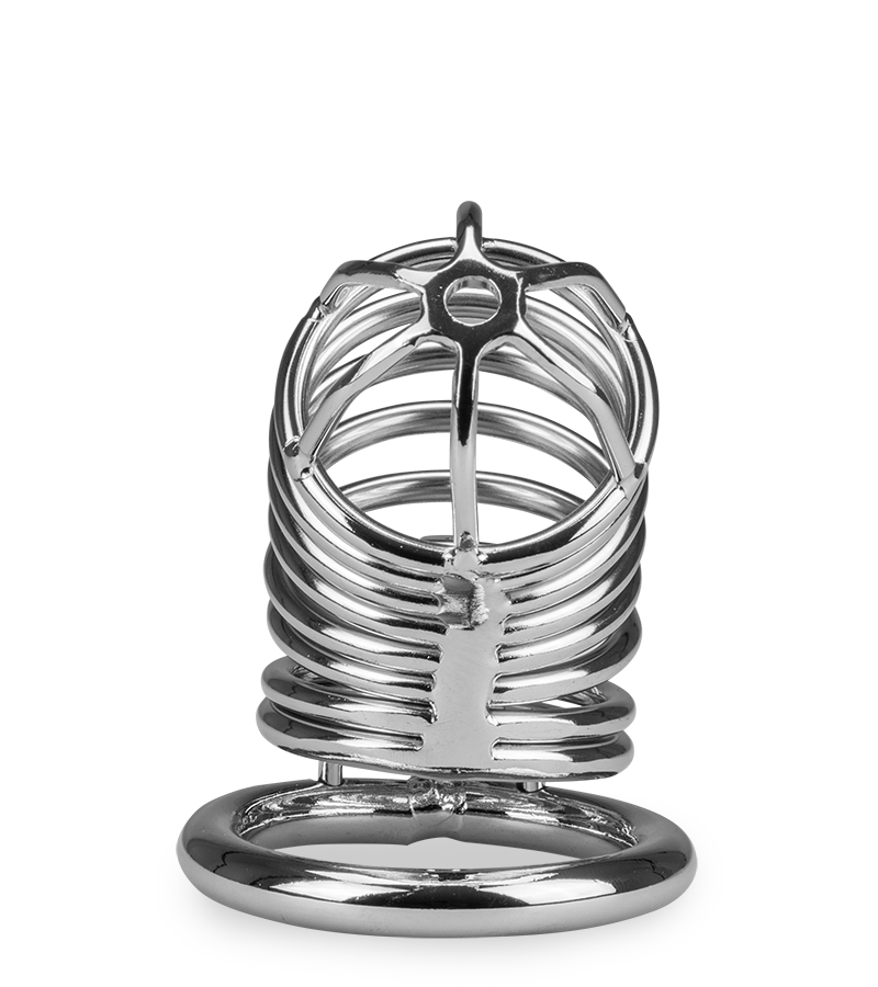 Captive penis chastity cage