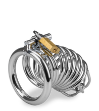 Load image into Gallery viewer, Captive penis chastity cage