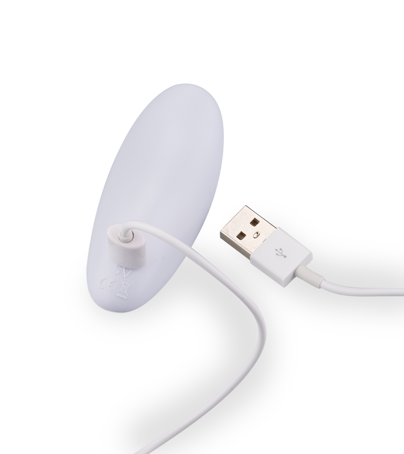 Danny remote controlled couple&#039;s vibrator