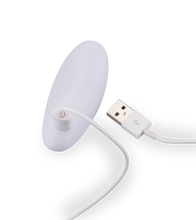 Load image into Gallery viewer, Danny remote controlled couple&#039;s vibrator