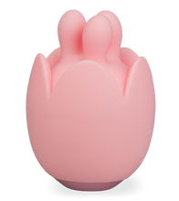Load image into Gallery viewer, Diez vibrating clit massager