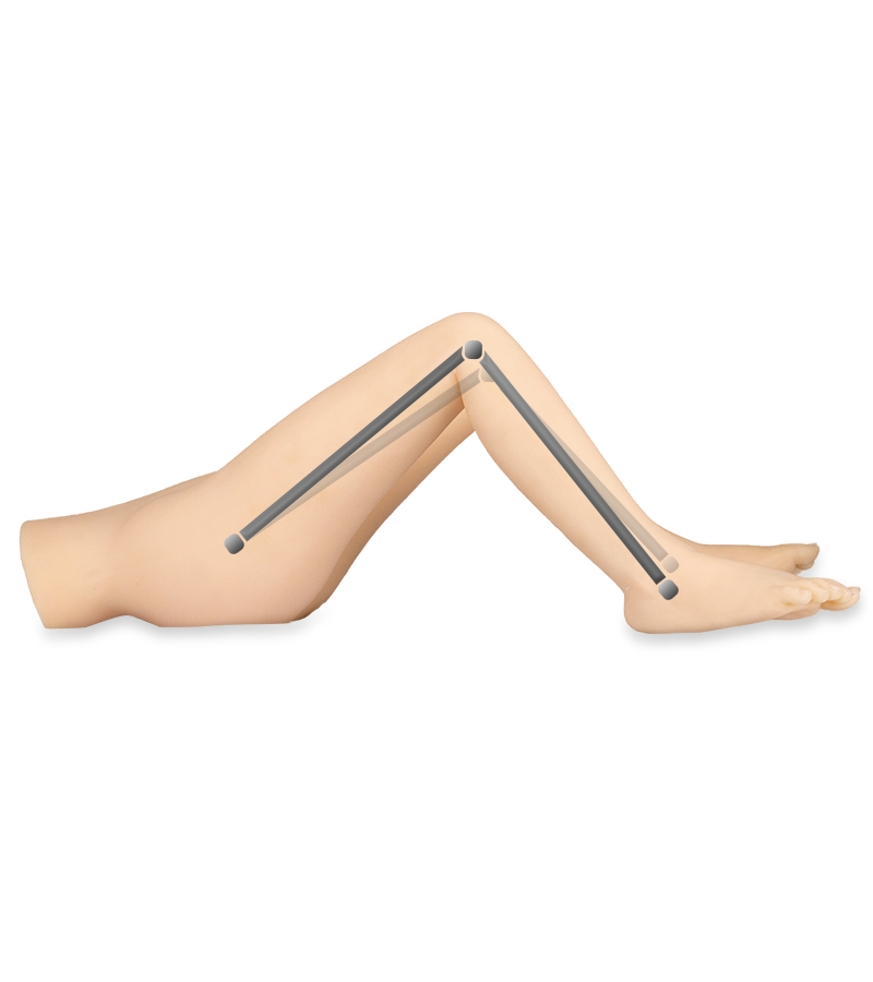 Double penetration legs