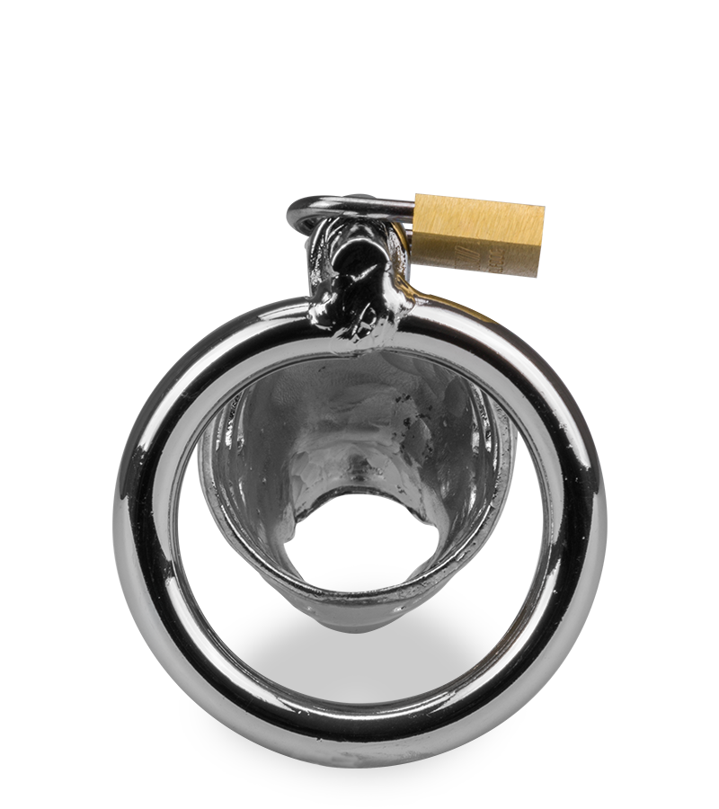 Dragon Chinese zodiac penis cage