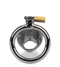 Load image into Gallery viewer, Dragon Chinese zodiac penis cage