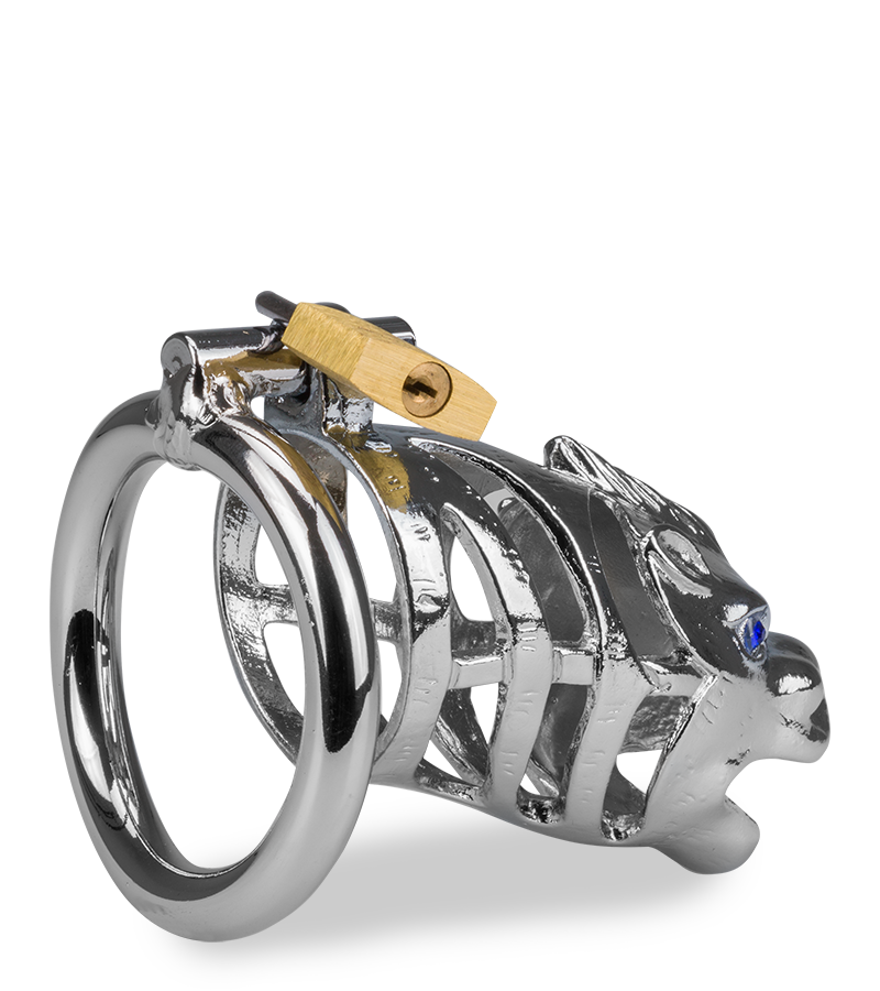 Dragon Chinese zodiac penis cage