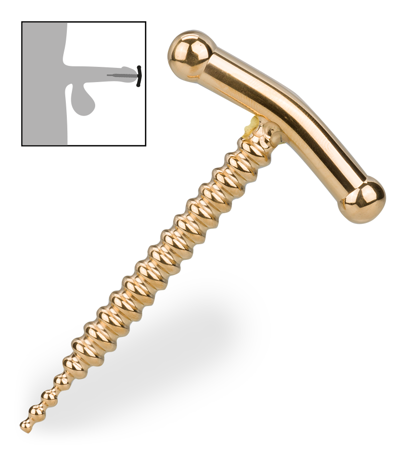 Dragonfly penis plug