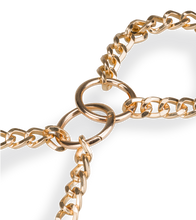 Load image into Gallery viewer, Duchess metal handcuffs