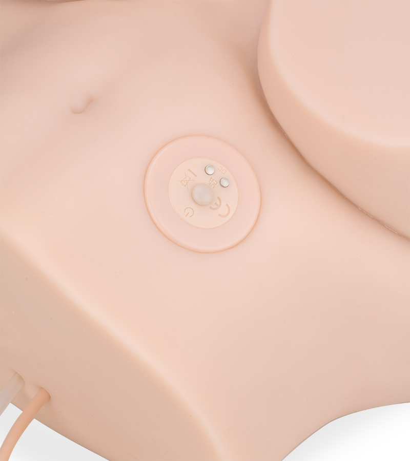 Emy masturbator with suction and vibrations 6 lb