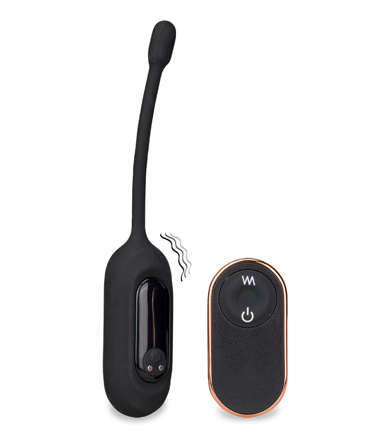 Eureka remote control vibrating egg