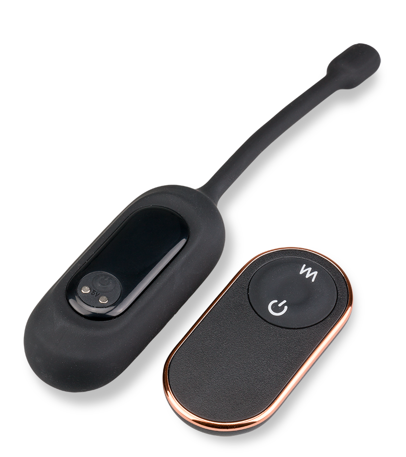 Eureka remote control vibrating egg