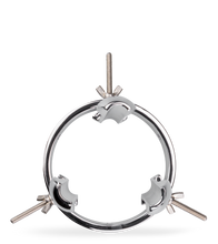 Load image into Gallery viewer, Extender anal spreader