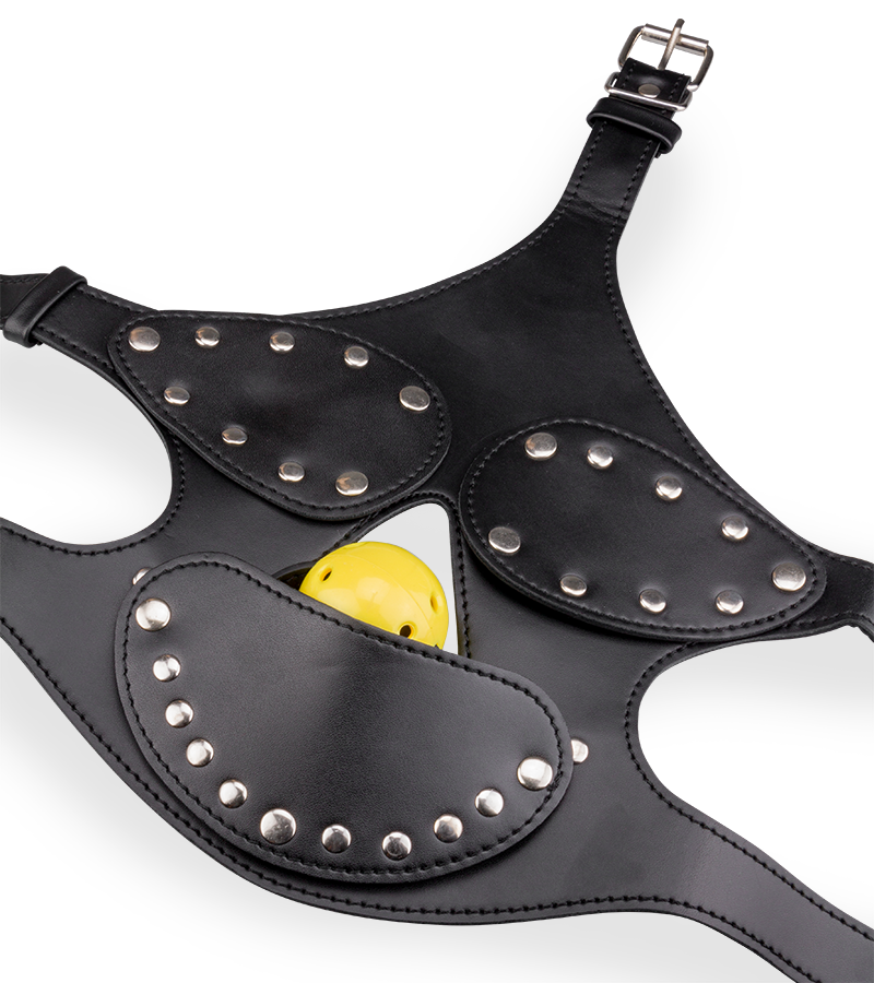 Faux leather BDSM mask with ball gag