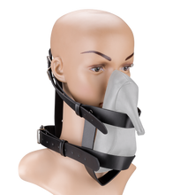 Load image into Gallery viewer, Faux leather face harness for shoes