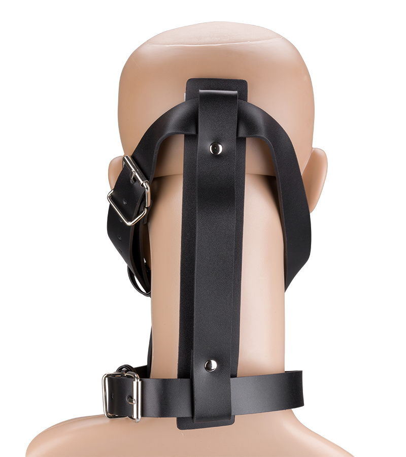 Faux leather face harness for shoes