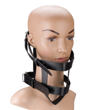 Load image into Gallery viewer, Faux leather face harness for shoes