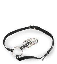 Load image into Gallery viewer, Five-ring metal cock cage