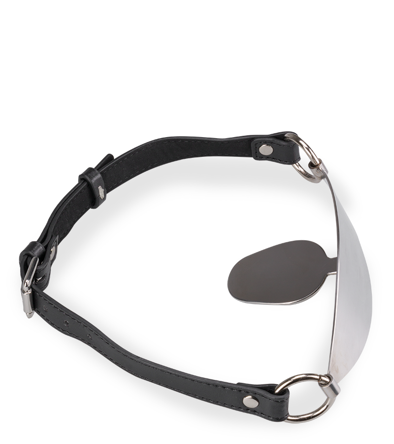 Flat faux leather and metal gag