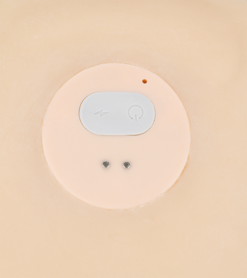 Giorgia vibrating ass and vagina masturbator 10.00 lb