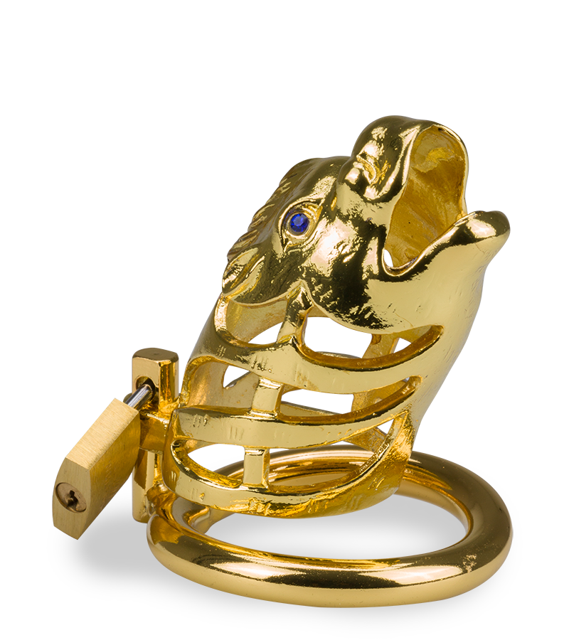 Golden Dragon Chinese zodiac penis chastity cage