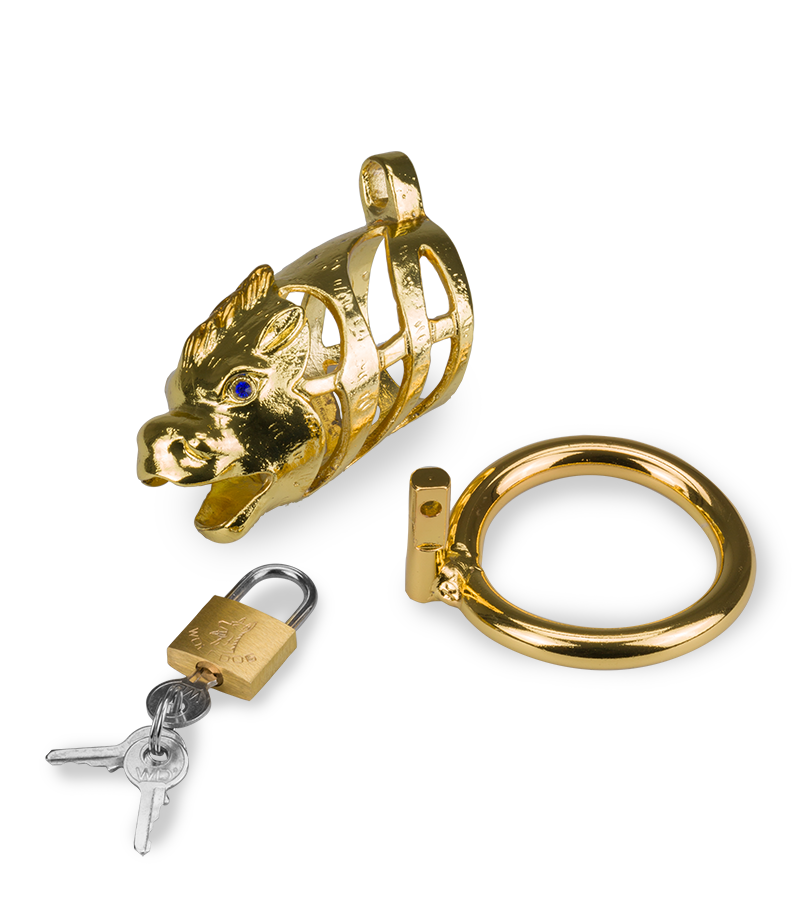 Golden Dragon Chinese zodiac penis chastity cage