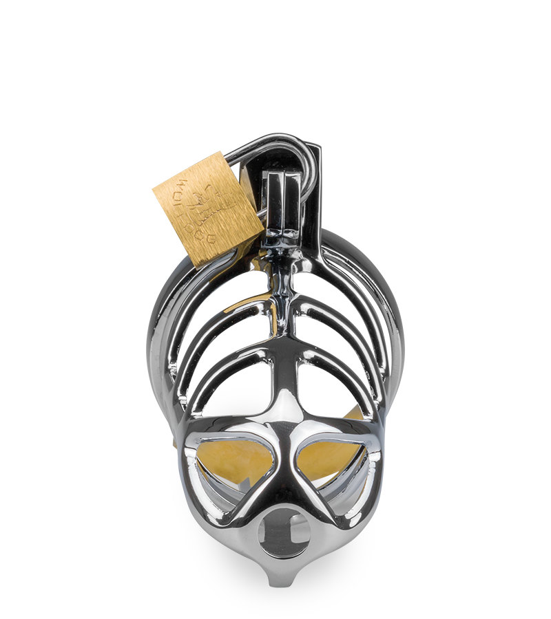 Grids penis chastity cage