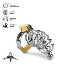Load image into Gallery viewer, Guantanamo penis chastity cage and urethra plug