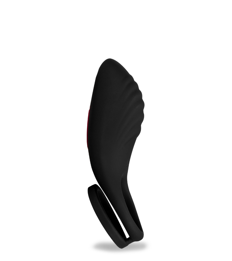 Jazz remote control vibrating double cock ring