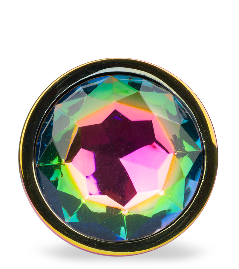 Large rainbow rosebud anal plug