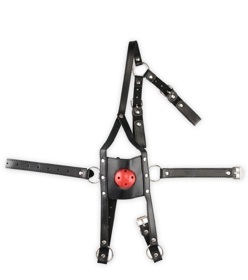 Leather face mask with ball gag