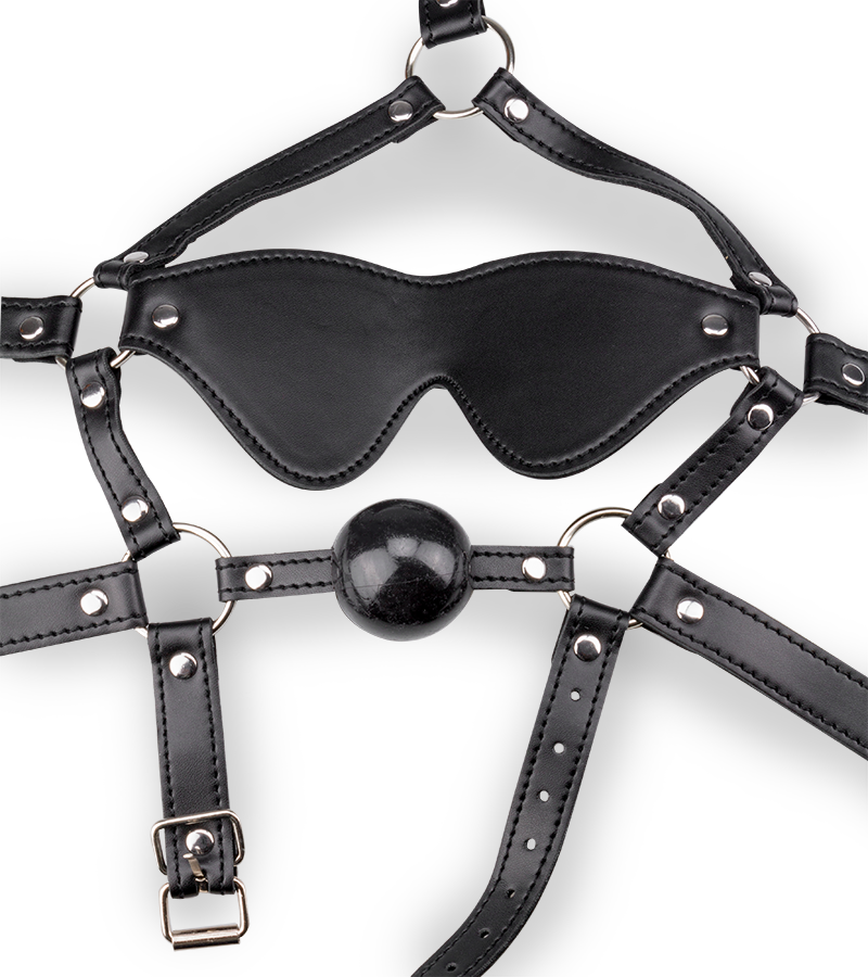 Leather Gag Harness with Blindfold