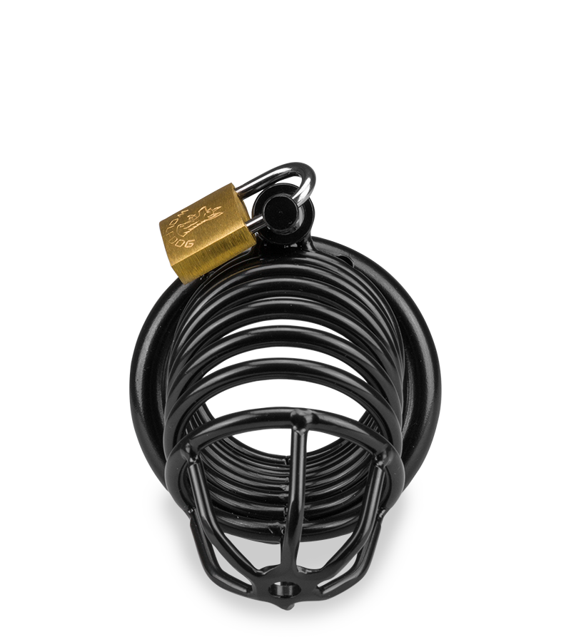 Little Prisoner penis chastity cage