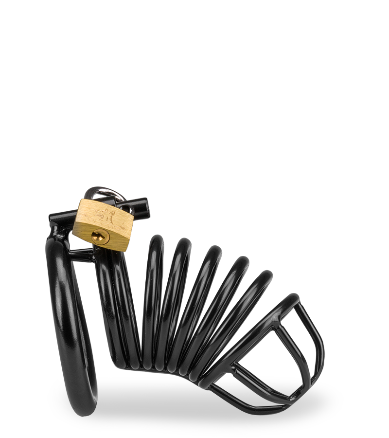 Little Prisoner penis chastity cage