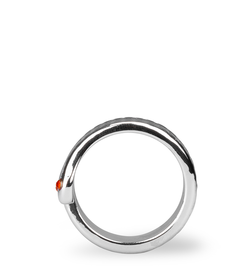 Medusa stainless steel cock ring