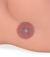 Load image into Gallery viewer, Melina trans sex torso with anus and vibrating thrusting penis  22.00 lb