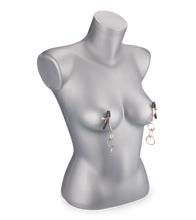 Load image into Gallery viewer, Metal nipple clamps 3 rings