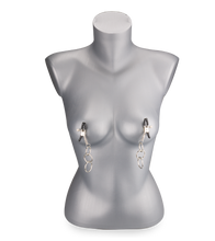Load image into Gallery viewer, Metal nipple clamps 3 rings